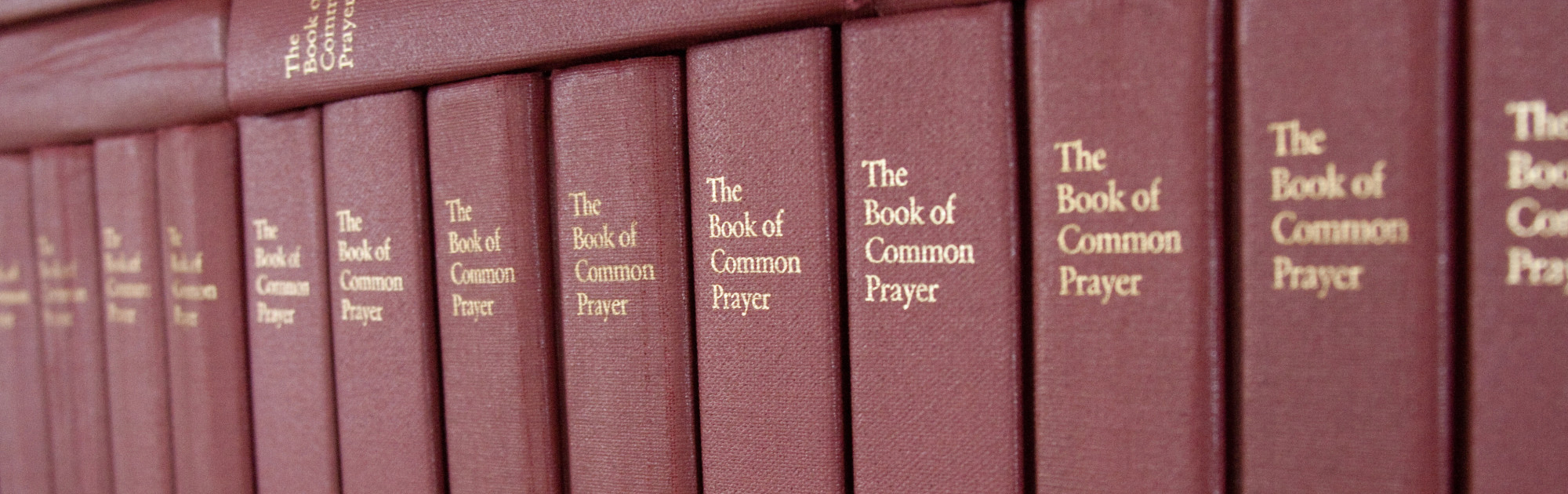 Task Force on Liturgical and Prayer Book Revision Update