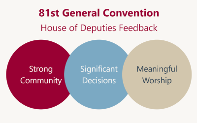 GC81 House of Deputies Feedback Results