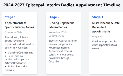 Interim Bodies Appointment Process Update